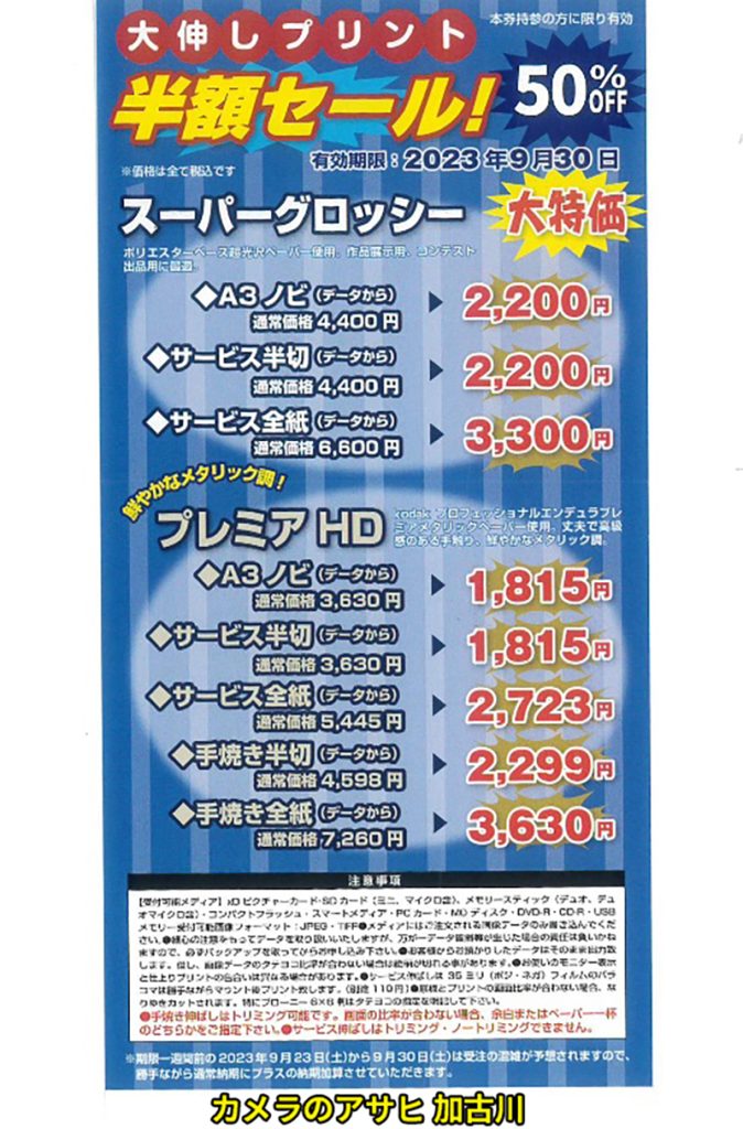 大伸ばし50%OFFキャンペーン分